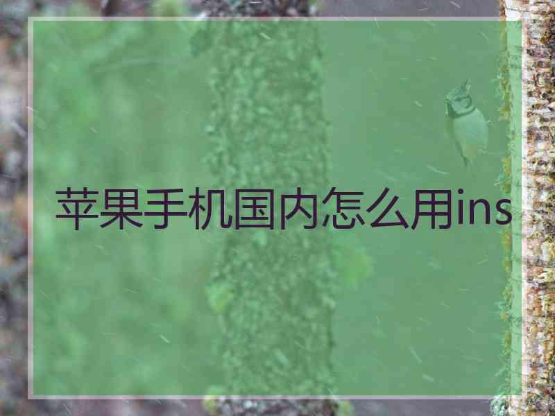 苹果手机国内怎么用ins