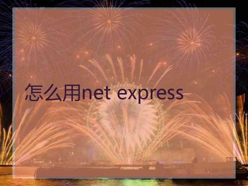 怎么用net express