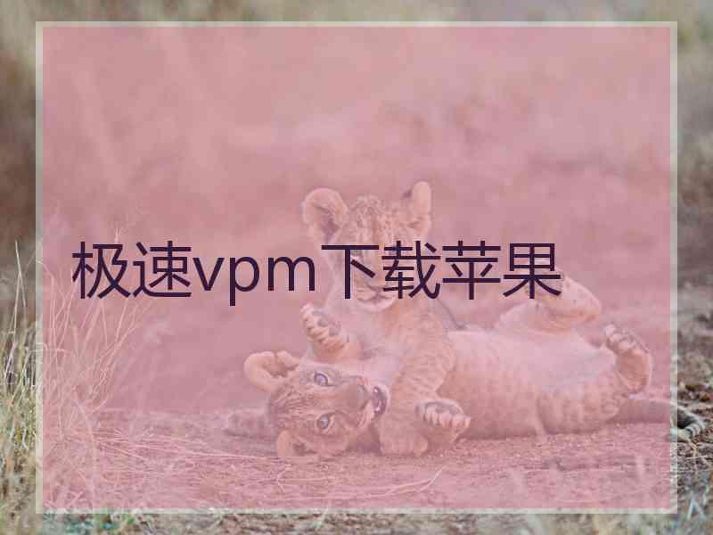 极速vpm下载苹果