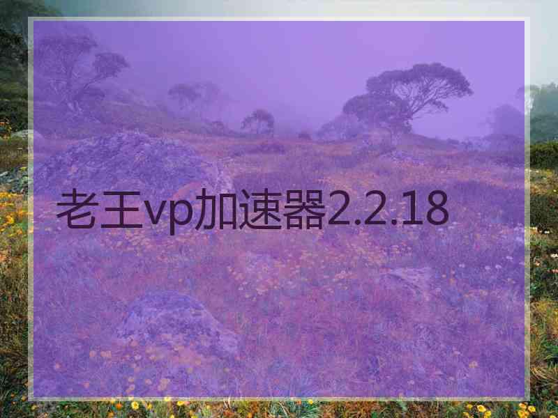 老王vp加速器2.2.18