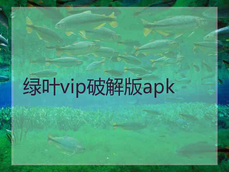 绿叶vip破解版apk