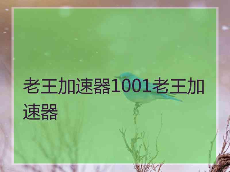 老王加速器1001老王加速器