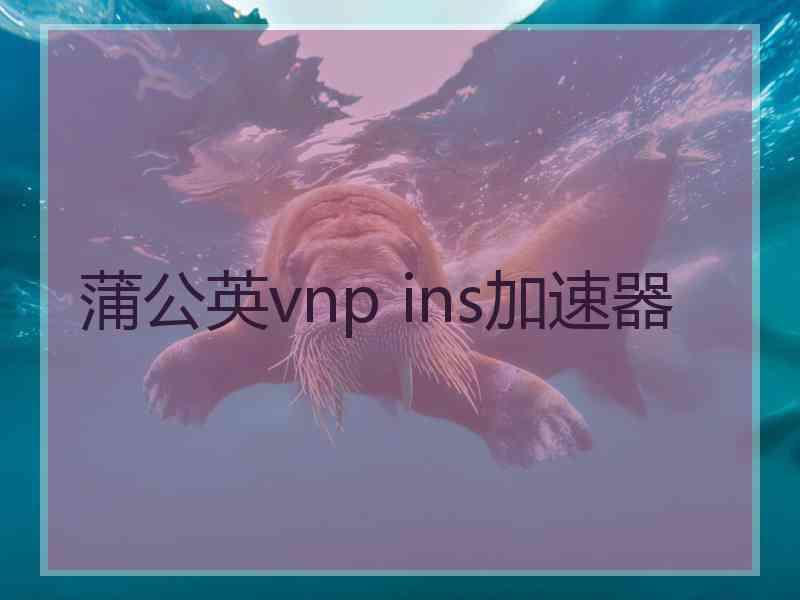 蒲公英vnp ins加速器