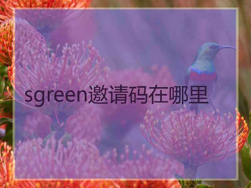 sgreen邀请码在哪里