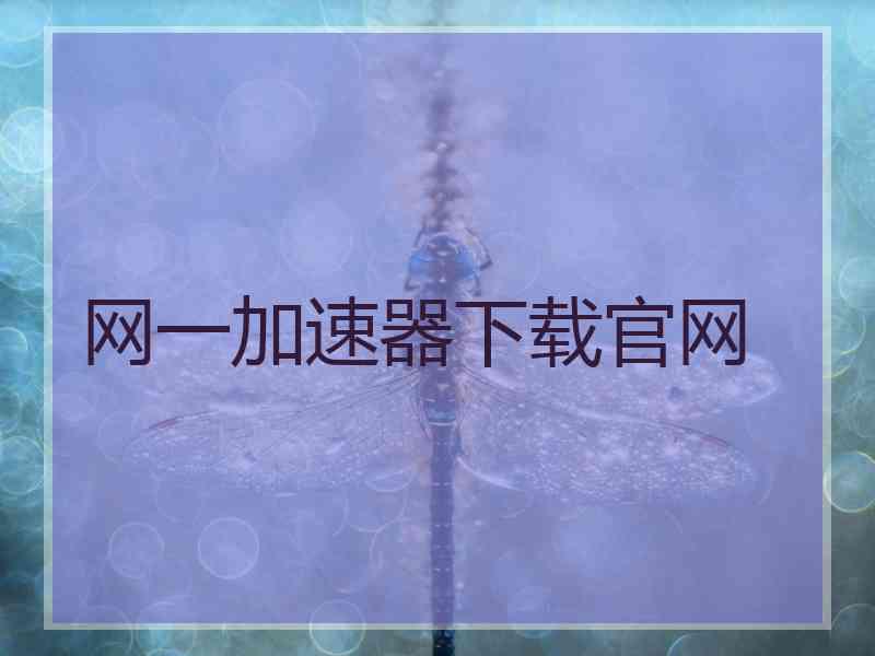 网一加速器下载官网