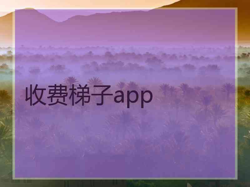 收费梯子app