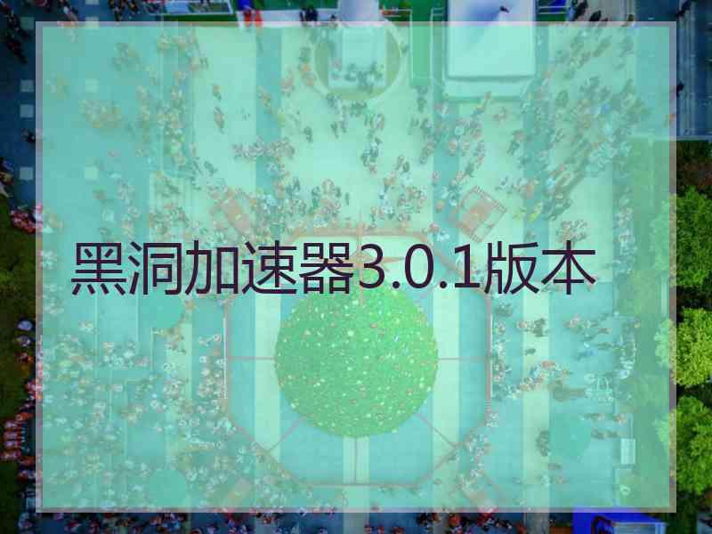 黑洞加速器3.0.1版本