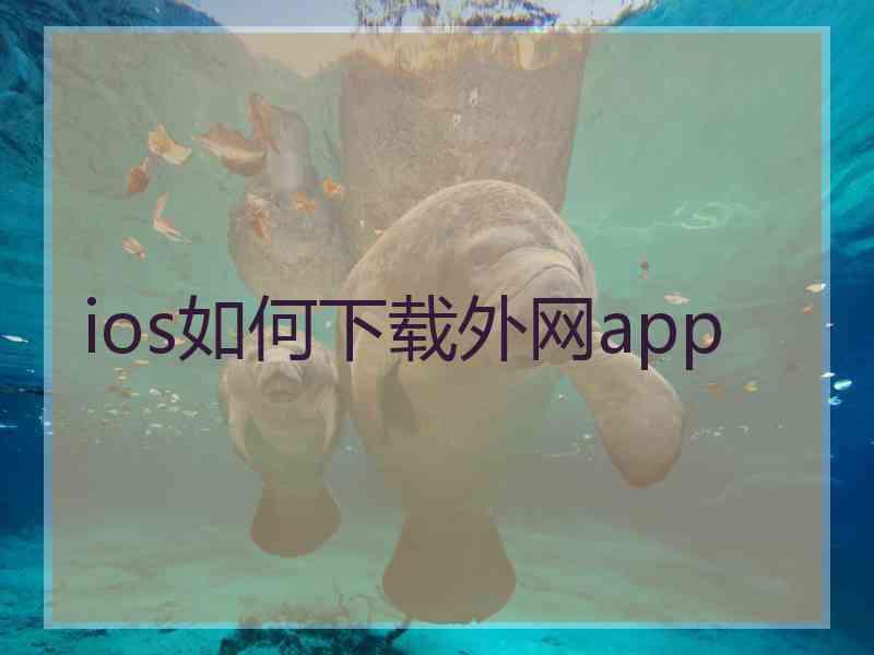 ios如何下载外网app