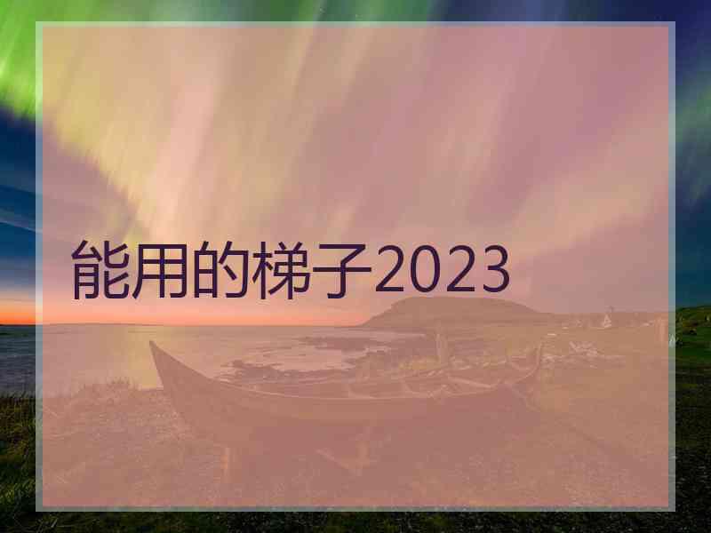 能用的梯子2023