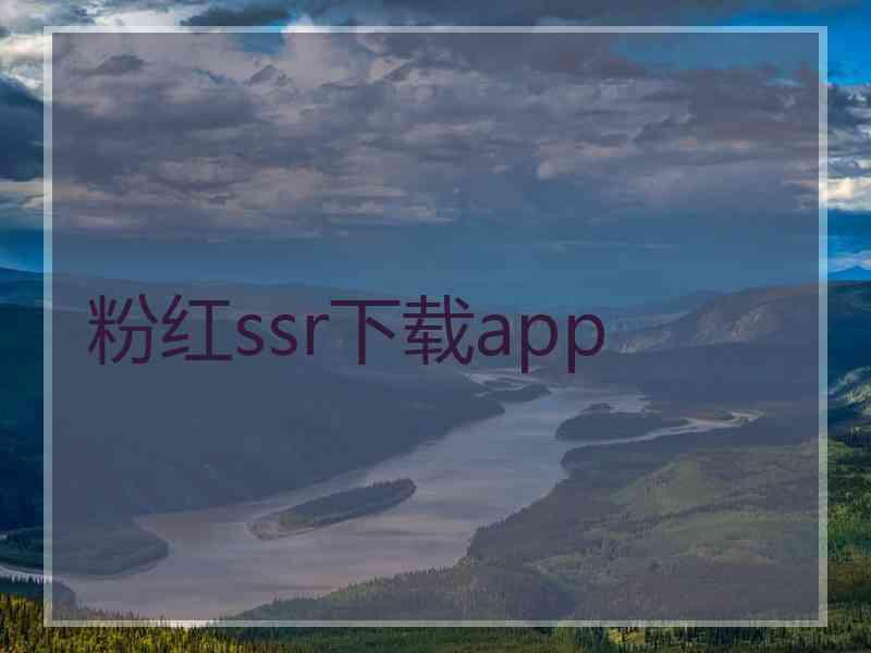 粉红ssr下载app