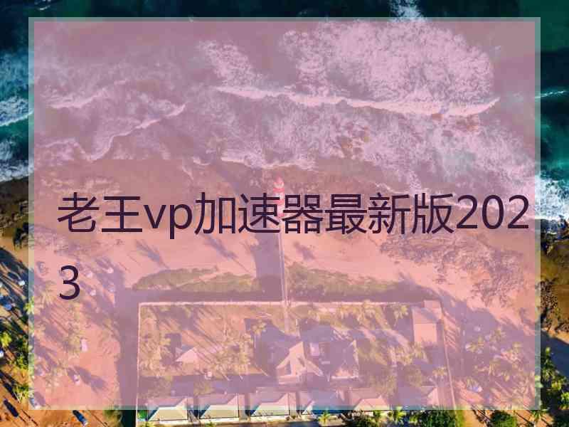 老王vp加速器最新版2023