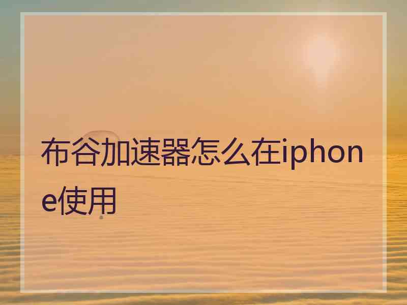 布谷加速器怎么在iphone使用