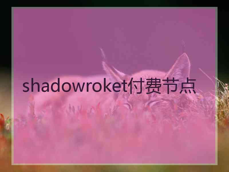 shadowroket付费节点