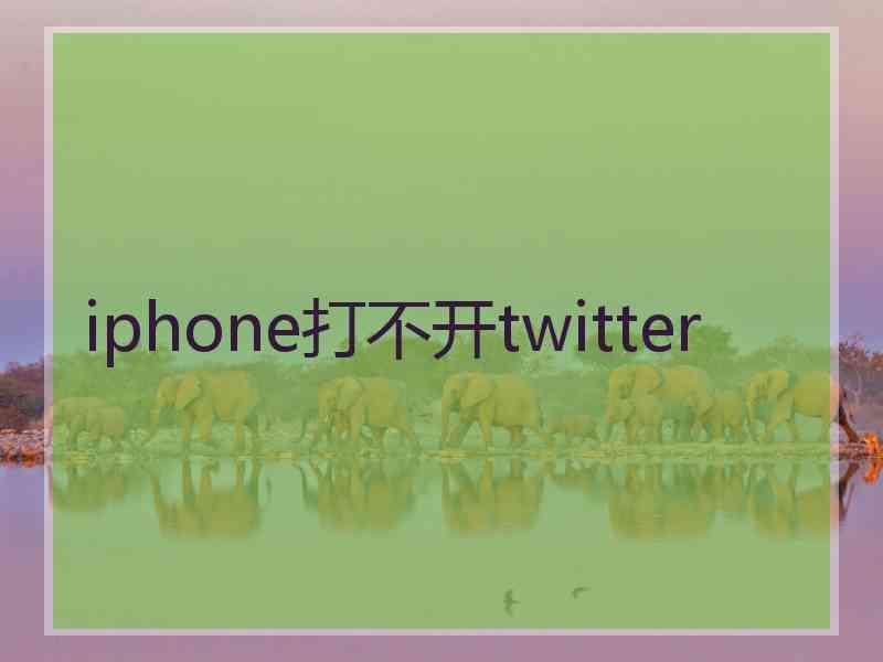 iphone打不开twitter