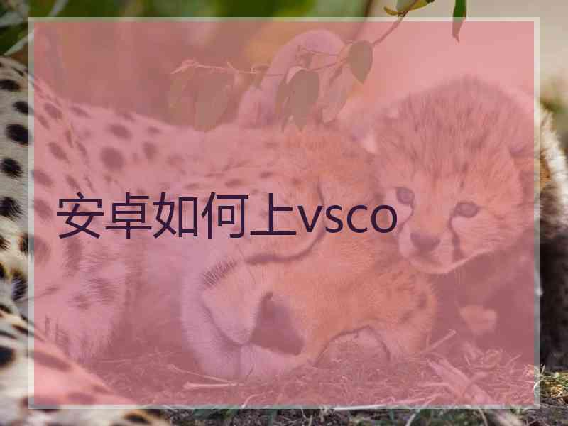 安卓如何上vsco