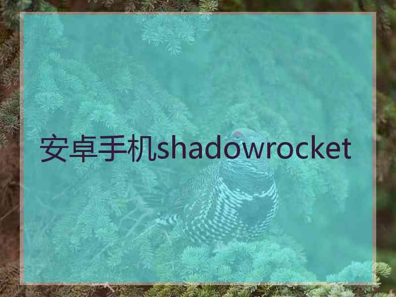 安卓手机shadowrocket