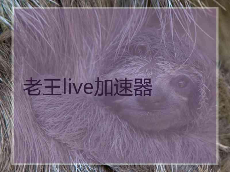 老王live加速器