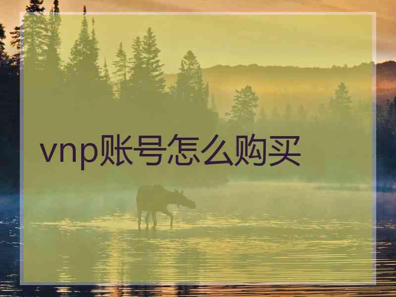 vnp账号怎么购买