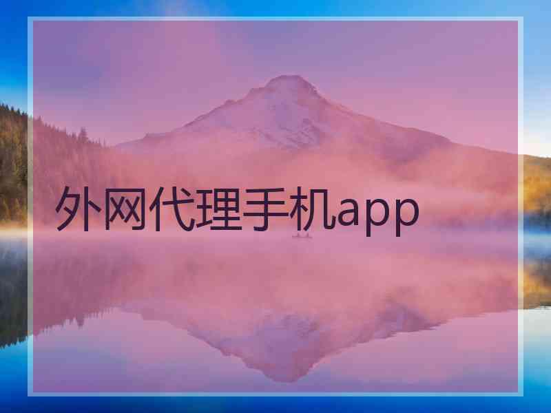 外网代理手机app