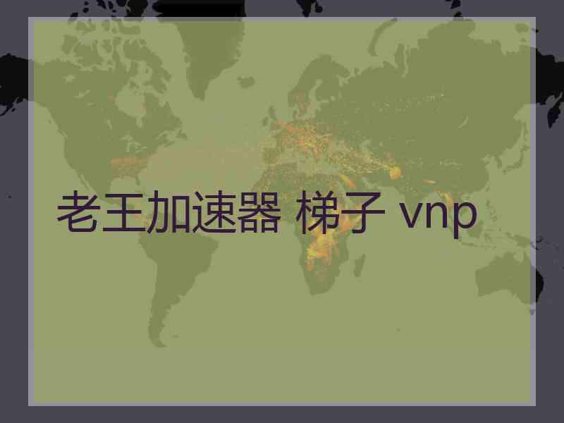 老王加速器 梯子 vnp