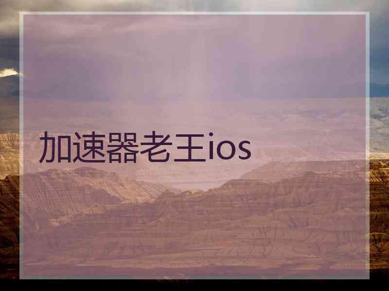 加速器老王ios