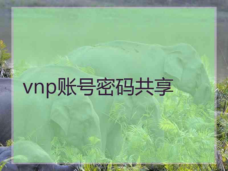 vnp账号密码共享