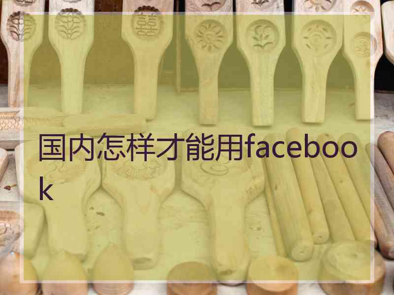 国内怎样才能用facebook