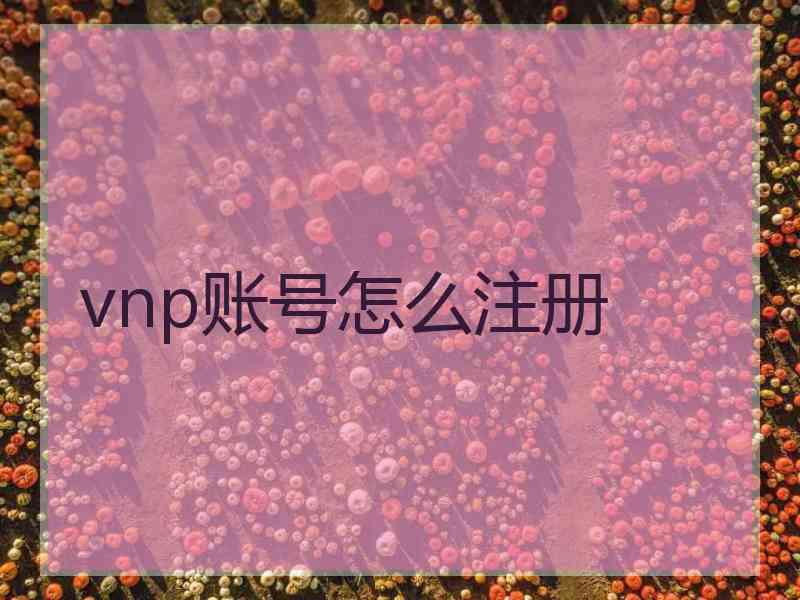 vnp账号怎么注册