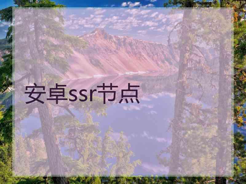 安卓ssr节点