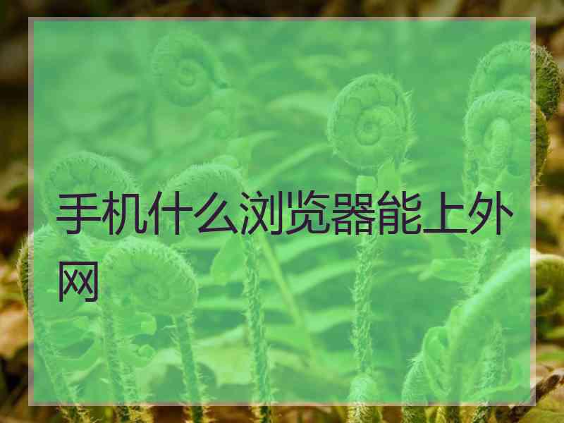 手机什么浏览器能上外网