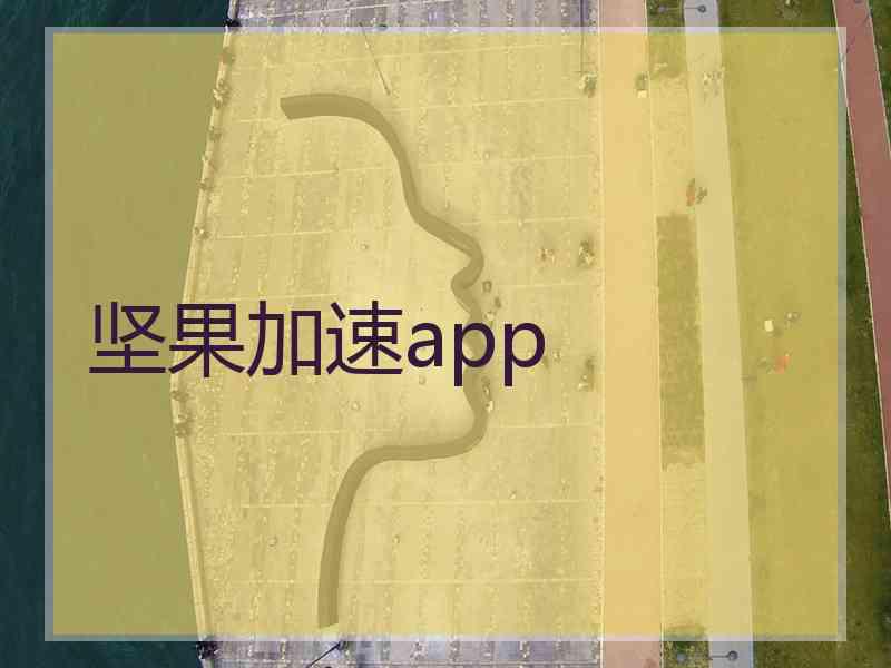 坚果加速app