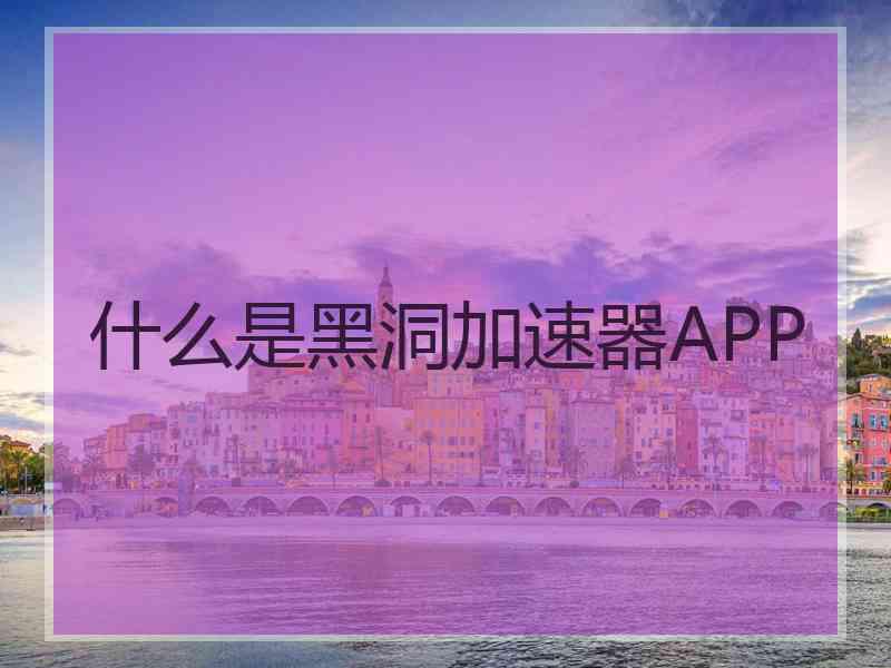 什么是黑洞加速器APP