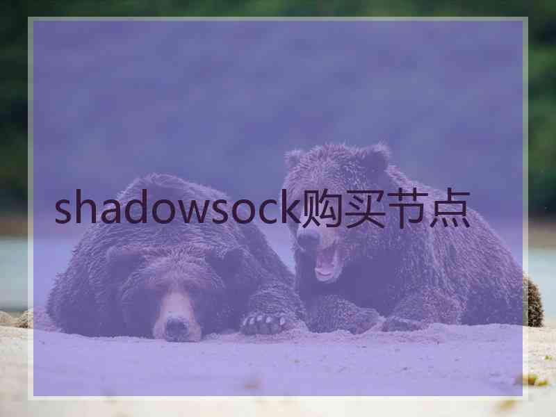 shadowsock购买节点