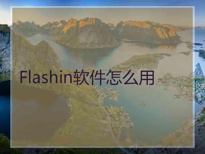 Flashin软件怎么用