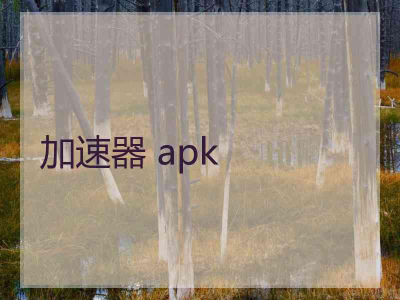 加速器 apk