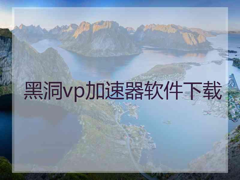 黑洞vp加速器软件下载