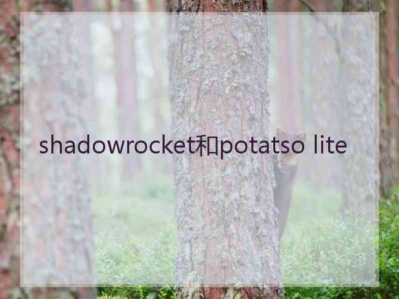 shadowrocket和potatso lite