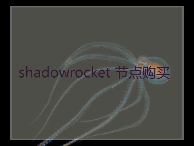 shadowrocket 节点购买