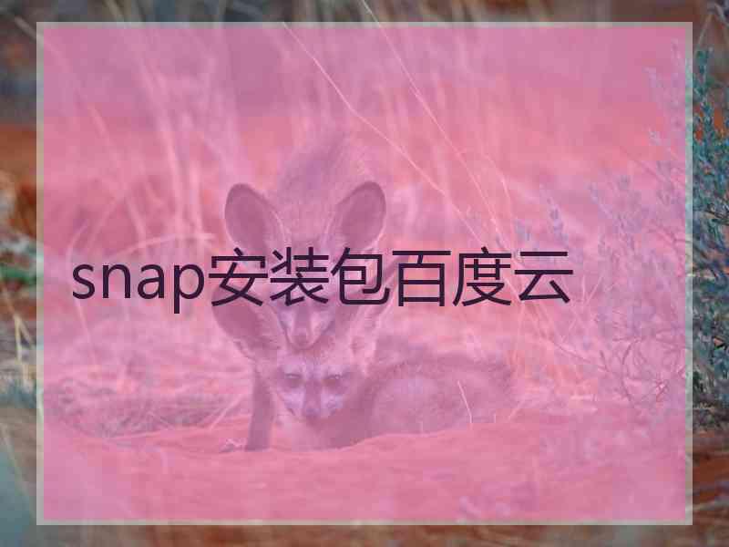 snap安装包百度云