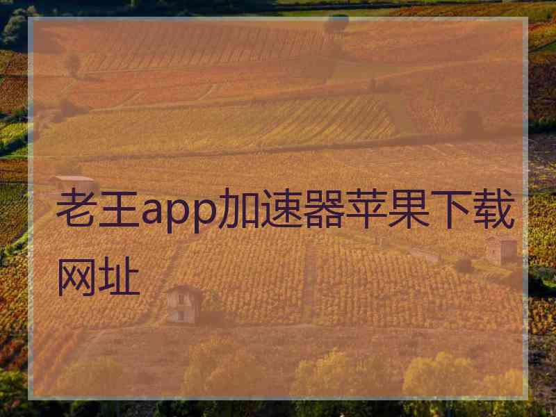 老王app加速器苹果下载网址