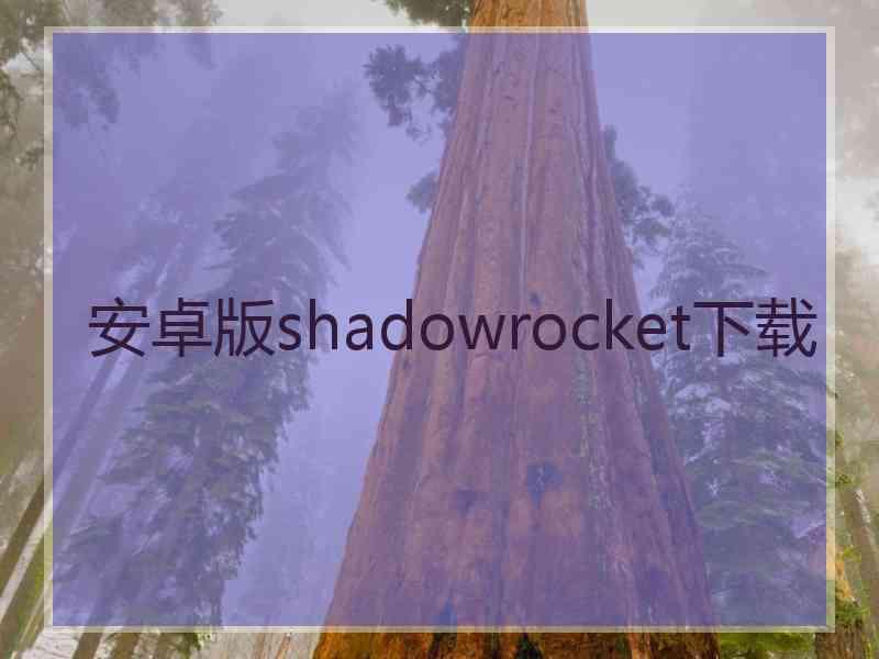 安卓版shadowrocket下载