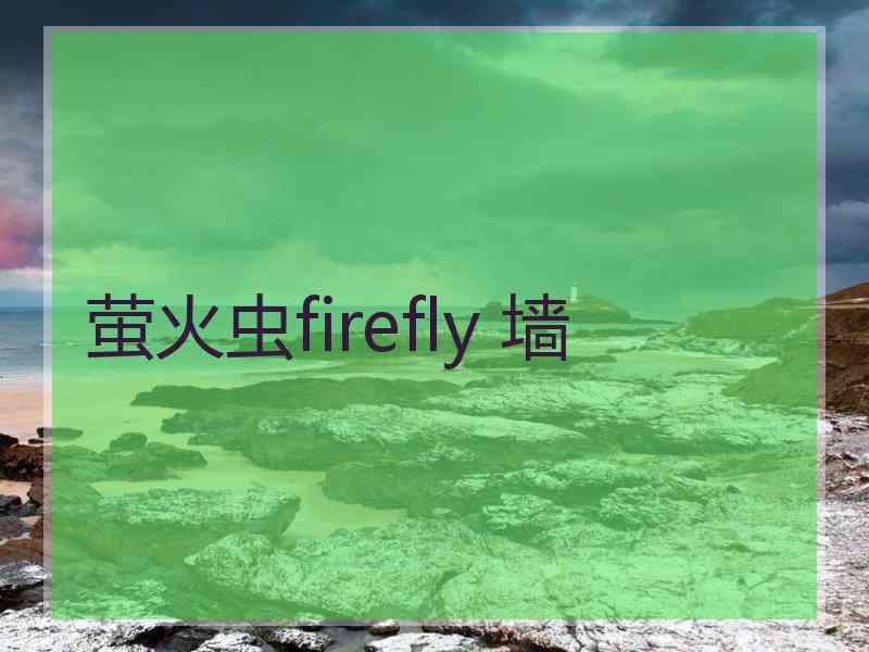 萤火虫firefly 墙