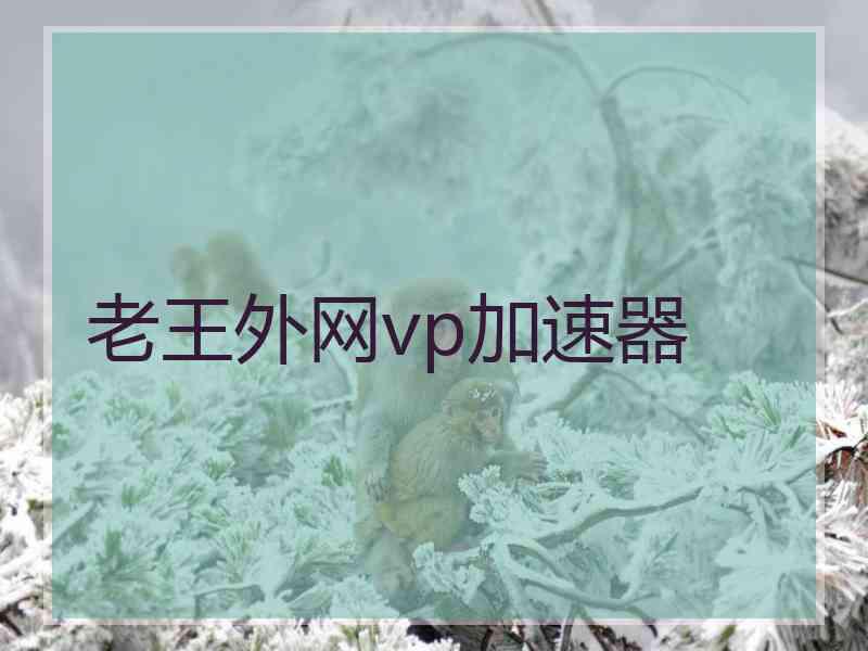 老王外网vp加速器