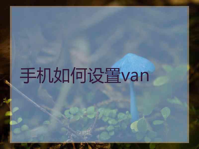 手机如何设置van