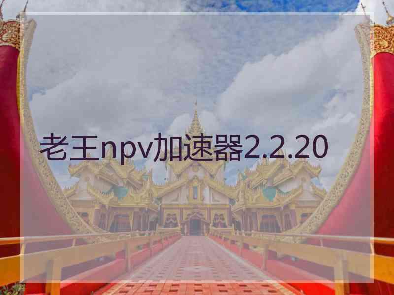 老王npv加速器2.2.20