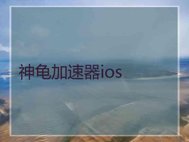 神龟加速器ios