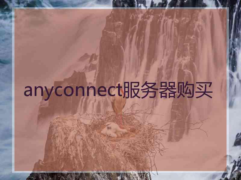 anyconnect服务器购买