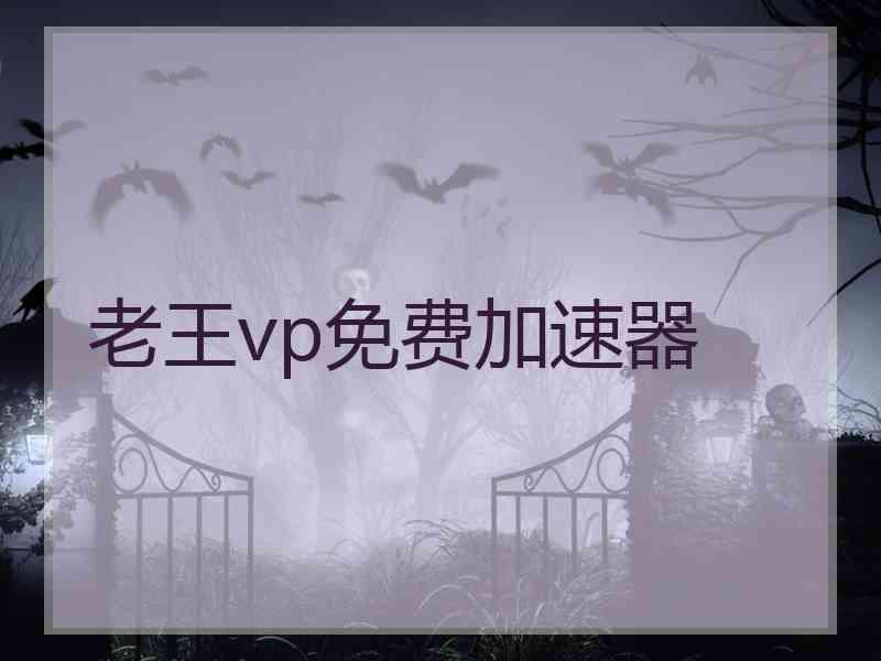 老王vp免费加速器