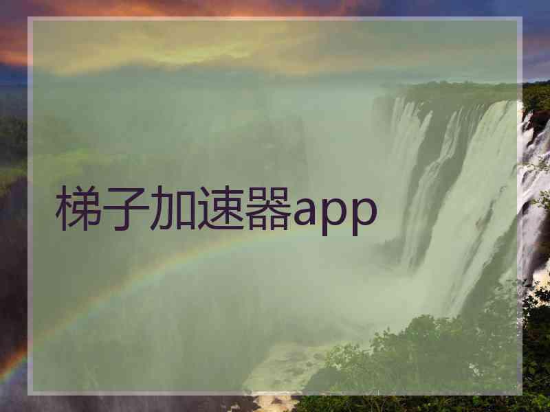 梯子加速器app