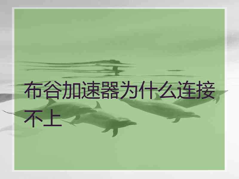 布谷加速器为什么连接不上